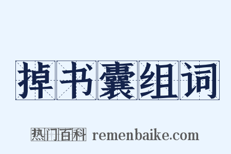 掉书囊组词是什么意思的图片